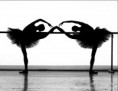 /album/galerie-foto-imagini/a1467423-497929913647342-1720526204-n-jpg/